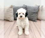 Image preview for Ad Listing. Nickname: Starlite