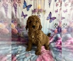Image preview for Ad Listing. Nickname: Casper