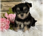 Image preview for Ad Listing. Nickname: ABBIE