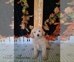 Image preview for Ad Listing. Nickname: Heavenlee
