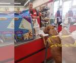 Small #15 Labrador Retriever Mix