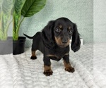 Image preview for Ad Listing. Nickname: Daphne