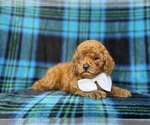 Image preview for Ad Listing. Nickname: Cody