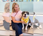 Small Photo #4 Mutt Puppy For Sale in Euless, TX, USA