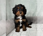 Image preview for Ad Listing. Nickname: Callen