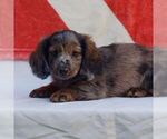 Image preview for Ad Listing. Nickname: Rhett