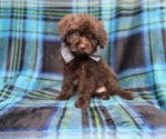 Image preview for Ad Listing. Nickname: Bentley