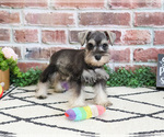 Image preview for Ad Listing. Nickname: Ava