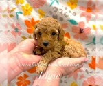 Image preview for Ad Listing. Nickname: Tiny Idgie