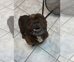Small #2 Breeder Profile image
