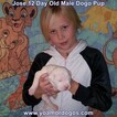 Small Photo #43 Dogo Argentino Puppy For Sale in JANE, MO, USA