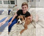 Small #4 Boxer