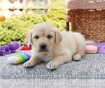 Image preview for Ad Listing. Nickname: Blossom