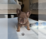 Image preview for Ad Listing. Nickname: Nimbus