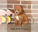 Image preview for Ad Listing. Nickname: Sandi
