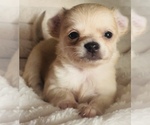 Image preview for Ad Listing. Nickname: Little Blondie
