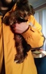 Small Photo #1 Yorkshire Terrier Puppy For Sale in FORT MORGAN, CO, USA