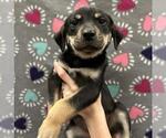 Small #3 Breeder Profile image