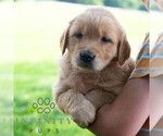 Image preview for Ad Listing. Nickname: Moana