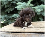 Image preview for Ad Listing. Nickname: Harvey