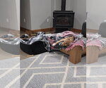 Small Photo #4 Mutt Puppy For Sale in Germantown, OH, USA