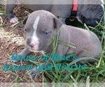 Image preview for Ad Listing. Nickname: Teal Female