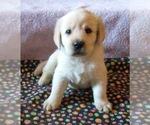 Image preview for Ad Listing. Nickname: Maria