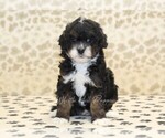 Image preview for Ad Listing. Nickname: Kody