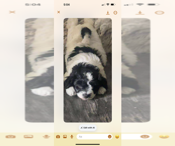 Medium Photo #1 Schnoodle (Miniature) Puppy For Sale in GRAND RIVERS, KY, USA