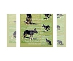 Small #5 German Shepherd Dog