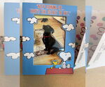 Small #5 Shepradors