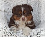 Image preview for Ad Listing. Nickname: Comet