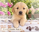 Image preview for Ad Listing. Nickname: Kate