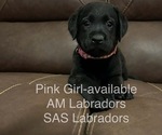 Image preview for Ad Listing. Nickname: Black Female