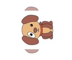 Mutt Puppy for sale in SAN FRANCISCO, CA, USA