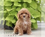 Image preview for Ad Listing. Nickname: Lily