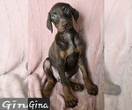 Small #2 Doberman Pinscher