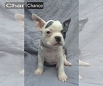 Image preview for Ad Listing. Nickname: Chance