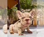 Image preview for Ad Listing. Nickname: Cartier