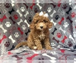 Image preview for Ad Listing. Nickname: Sandy