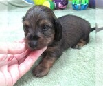 Image preview for Ad Listing. Nickname: Happy