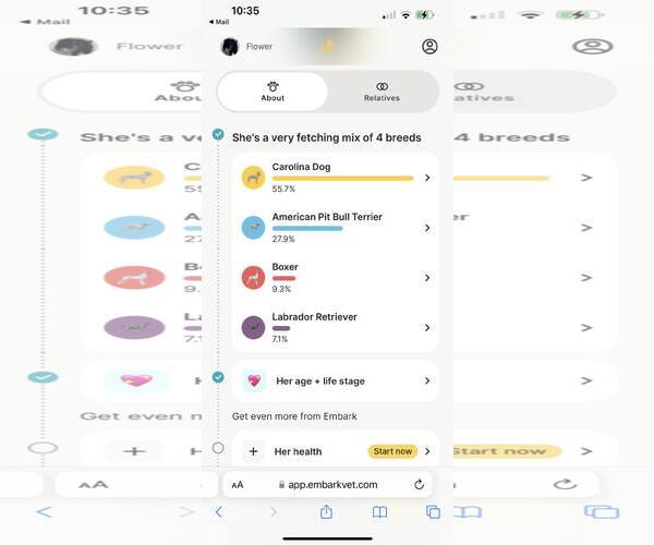 Medium Photo #14 Carolina Dog Puppy For Sale in Highland, IL, USA