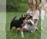 Small #9 Mutt