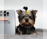 Image preview for Ad Listing. Nickname: Micro Bijou