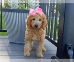 Image preview for Ad Listing. Nickname: Blossom