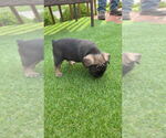  - Photo #2