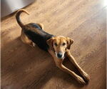 Small #19 Mutt