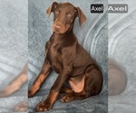 Image preview for Ad Listing. Nickname: Axel