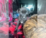 Small #3 Breeder Profile image