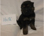 Small #3 German Shepherd Dog